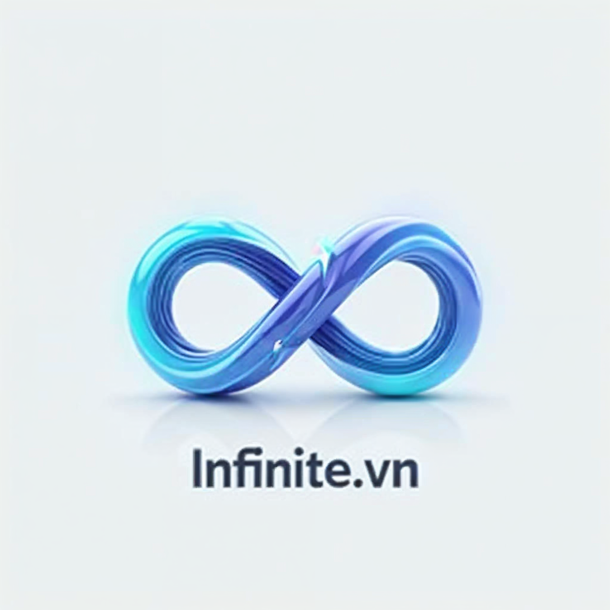 Infinite Việt Nam